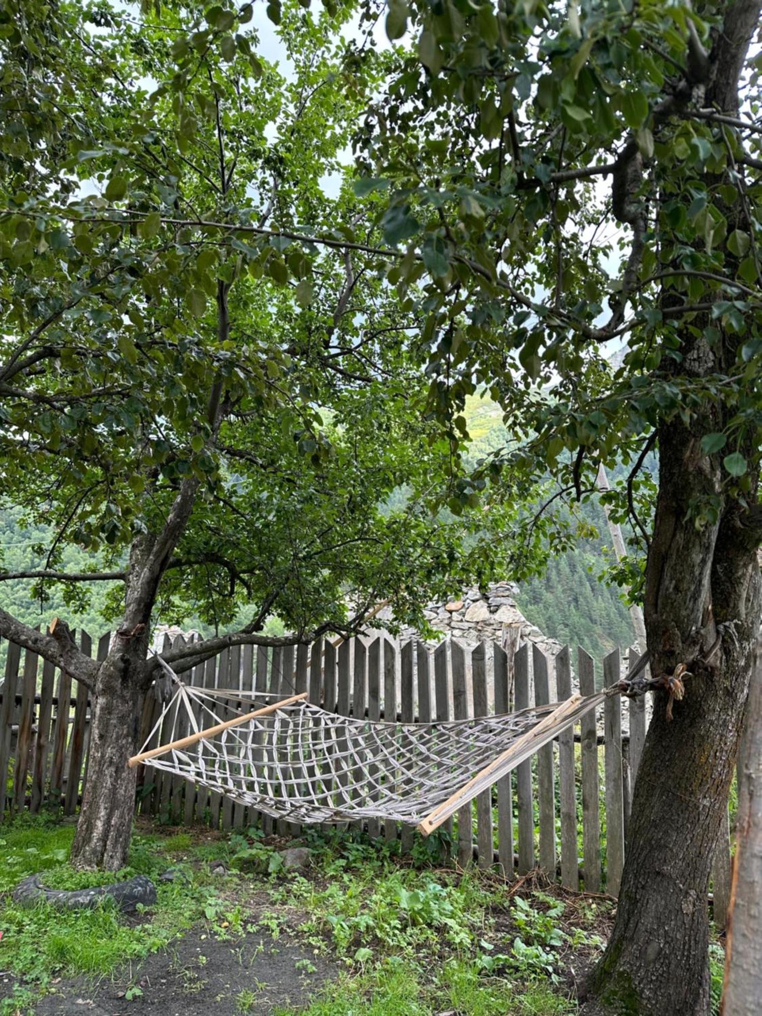 Mukhran&Nargiza Guesthouse Adishi 외부 사진